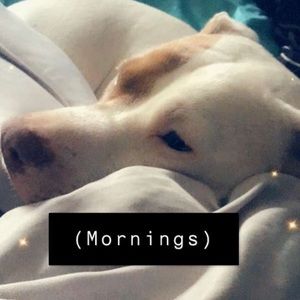 Meet your Posher, Luke